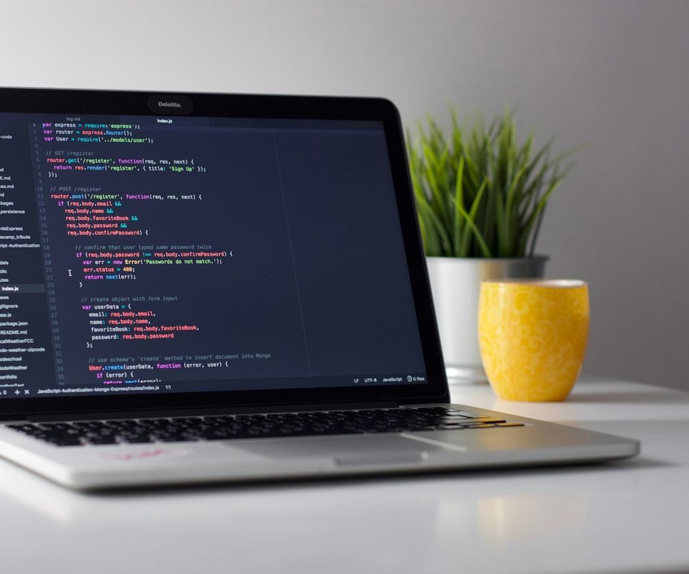 A laptop on a desk beside a plant.